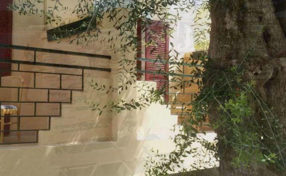 Wilde Rose Hotel Dassia  Luaran gambar